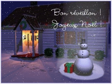 🎄✨ Fêtes de fin d’année ✨🎄